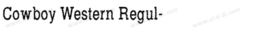 Cowboy Western Regul字体转换